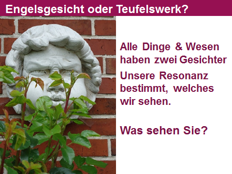 Bilderspiel mit einem teilweise von Blättern verdeckten Steingesicht